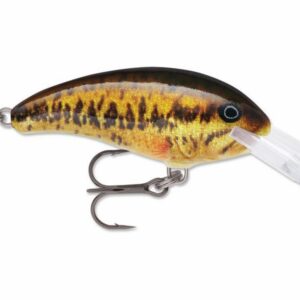 Pourvoirie_Lachine_Bait_and_Tackle_Rapala_SDD-04_Small_Mouth_Bass