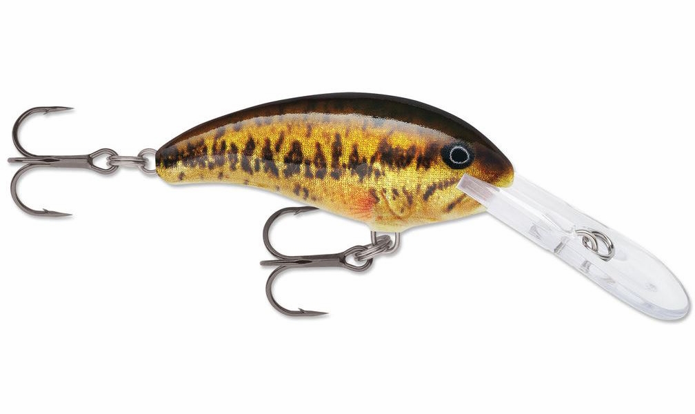 https://lachinebaitandtackle.com/wp-content/uploads/2021/09/Pourvoirie_Lachine_Bait_and_Tackle_Rapala_SDD-05_Small_Mouth_Bass.jpg