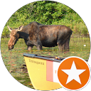 Algonquin Adventure Tours profile picture