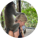 Kim Dattilio profile picture