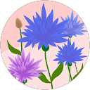 Johanne Malka profile picture